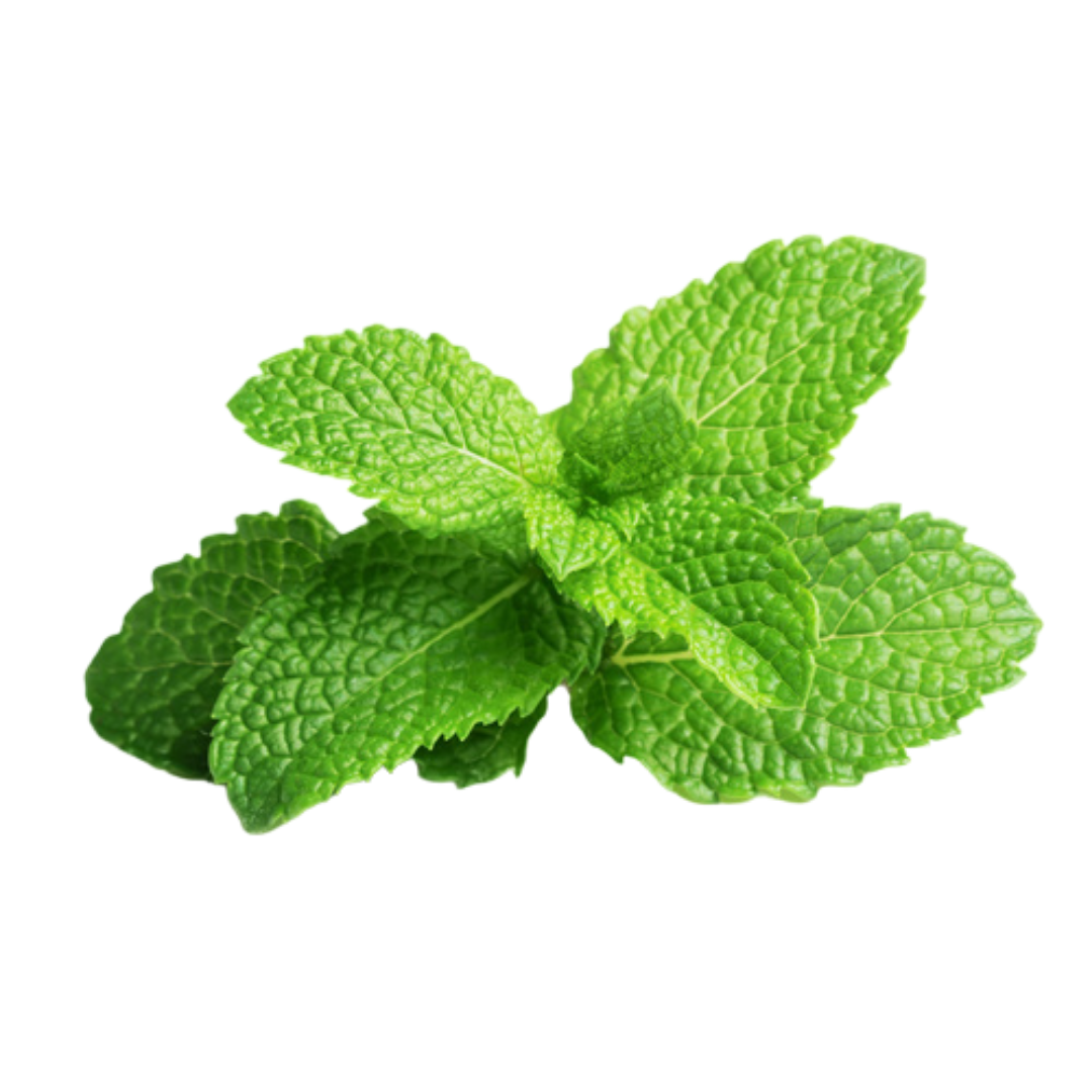 Premium Mint