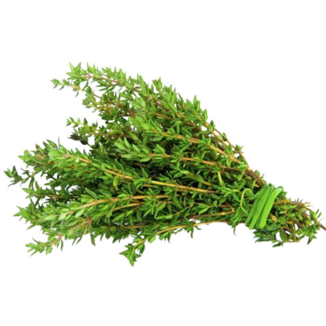Premium Mediterranean Thyme