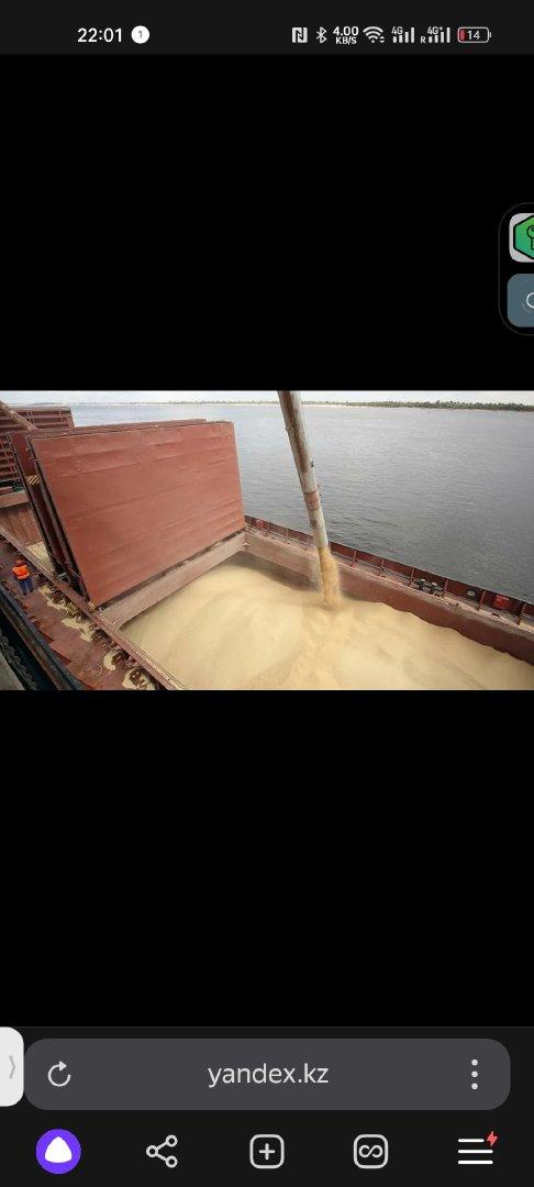 Premium Grade Milling Wheat