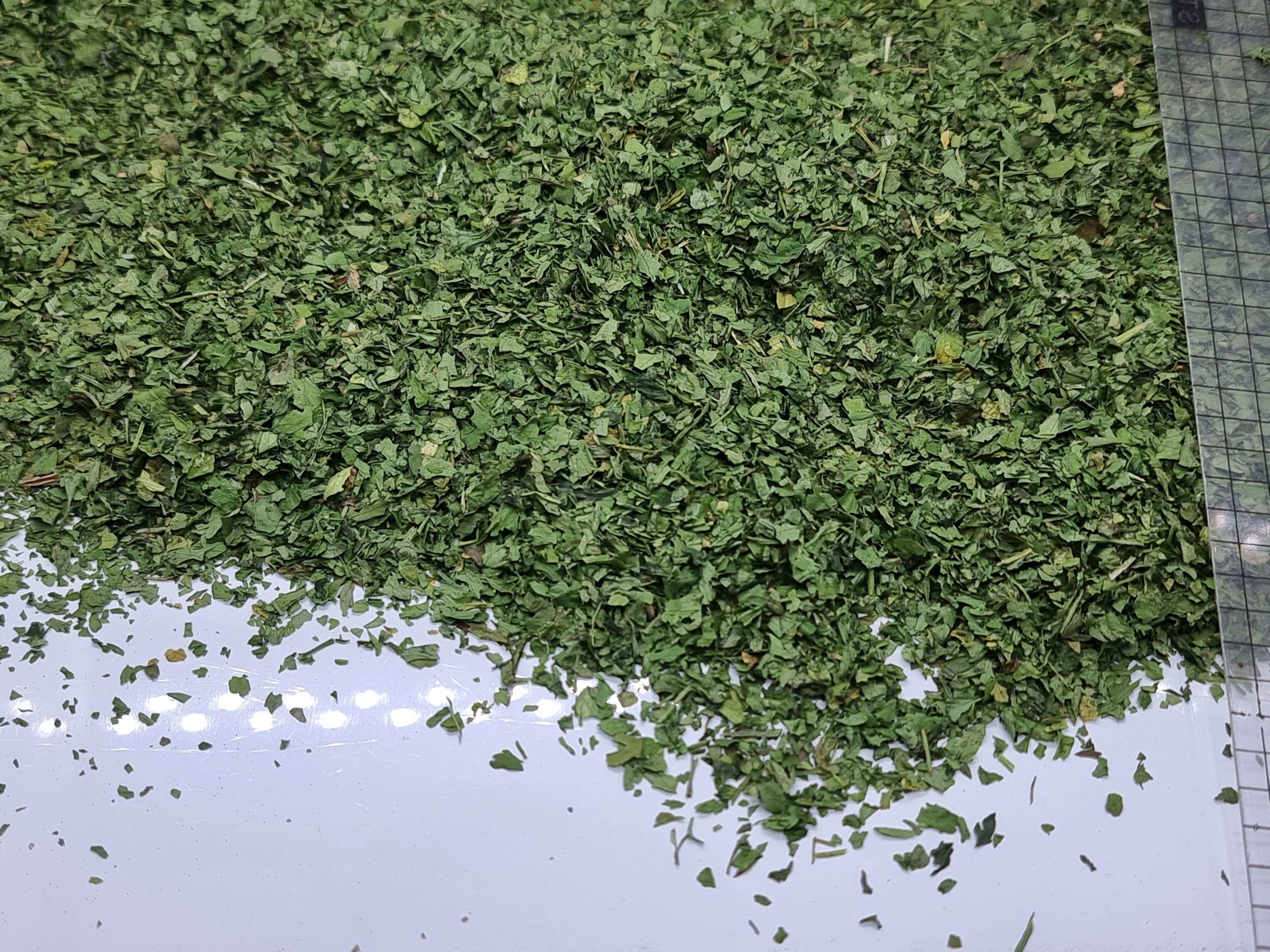 High-quality Parsley from Aromatic
