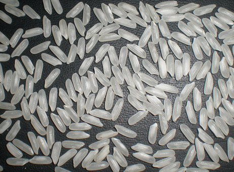 LONG GRAIN WHITE RICE 5% BROKEN, VIETNAMESE RICE FROM VIETNAM, GOOD QUALITY, REASONABLE PRICE, CROP 2023