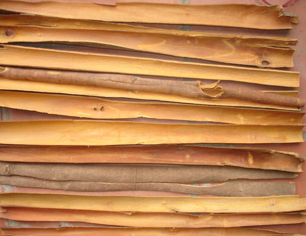 SPLIT CASSIA, VIENTAM ORIGIN, HIGH QUALITY, BEST PRICE, USED AS SPICES FOR FOOD