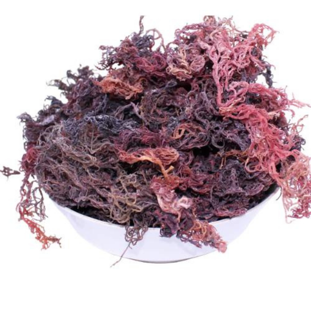 Purple SeaMoss/ Irish Moss - making sea mos Gel with Good Quality and Best Price - Seafood From Vietnam