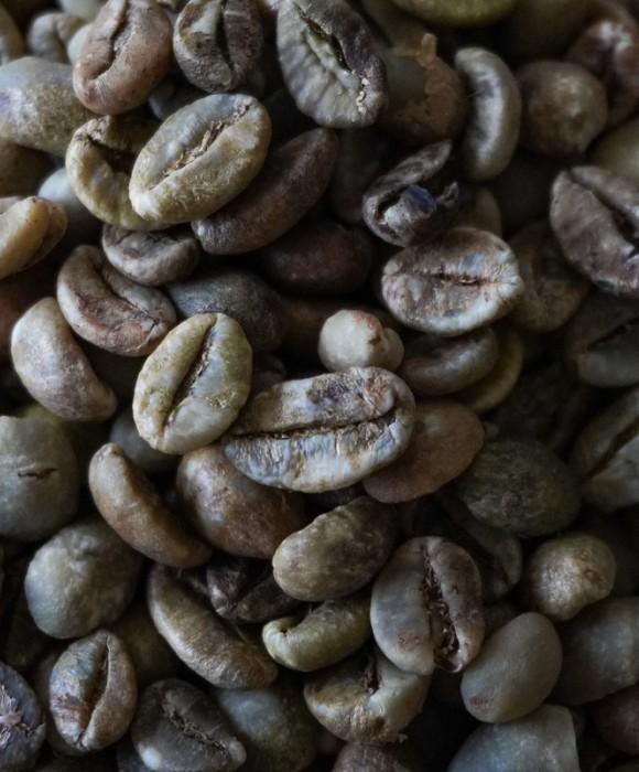 Robusta Green Coffee Beans