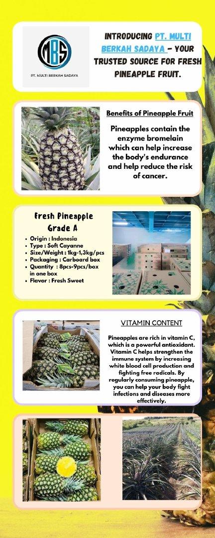 Top 8 Fresh Fruits suppliers in Indonesia — 8 Capabilities Reviewed - 8