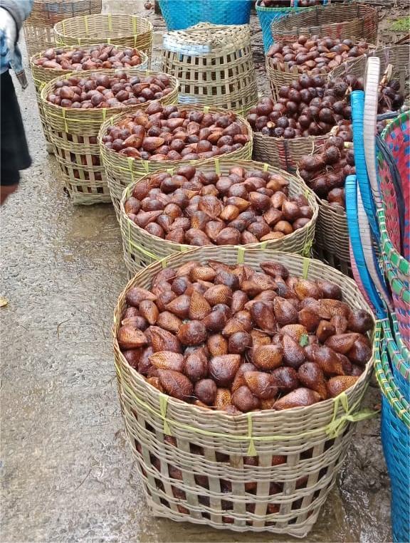Top 8 Fresh Fruits suppliers in Indonesia — 8 Capabilities Reviewed - 3
