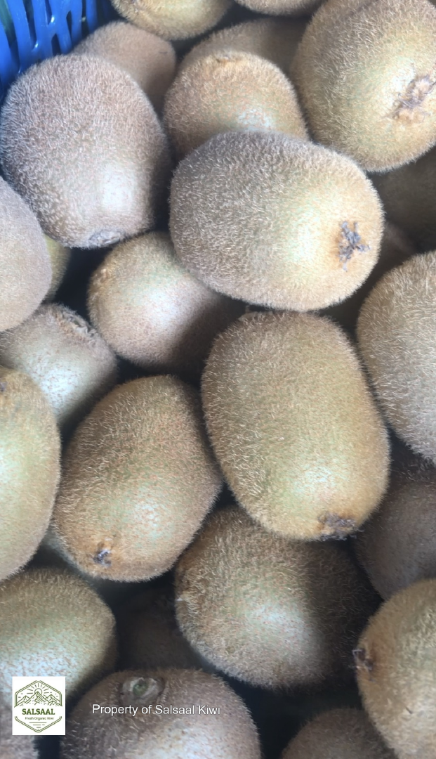 Fresh Kiwi
