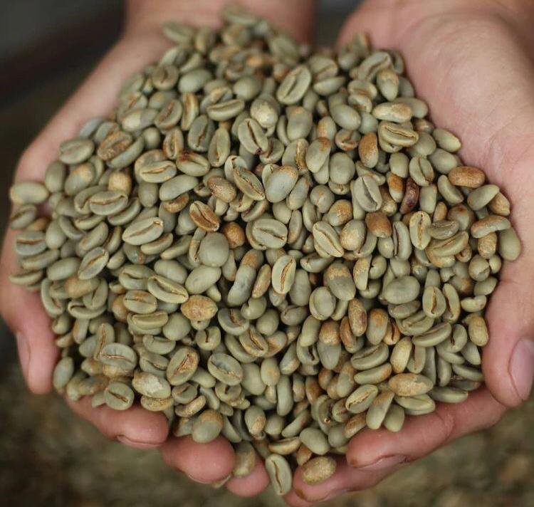 Indonesian Coffee Farmers