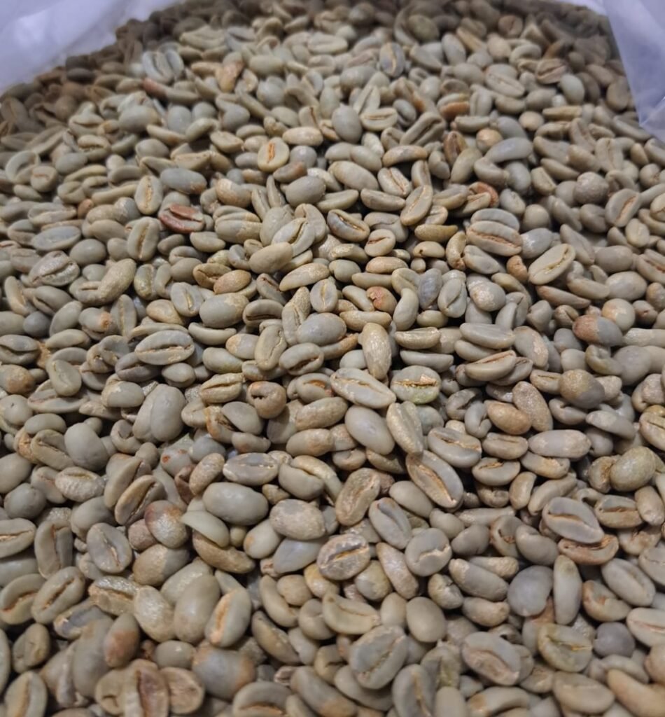 Hand Sorting Coffee Beans