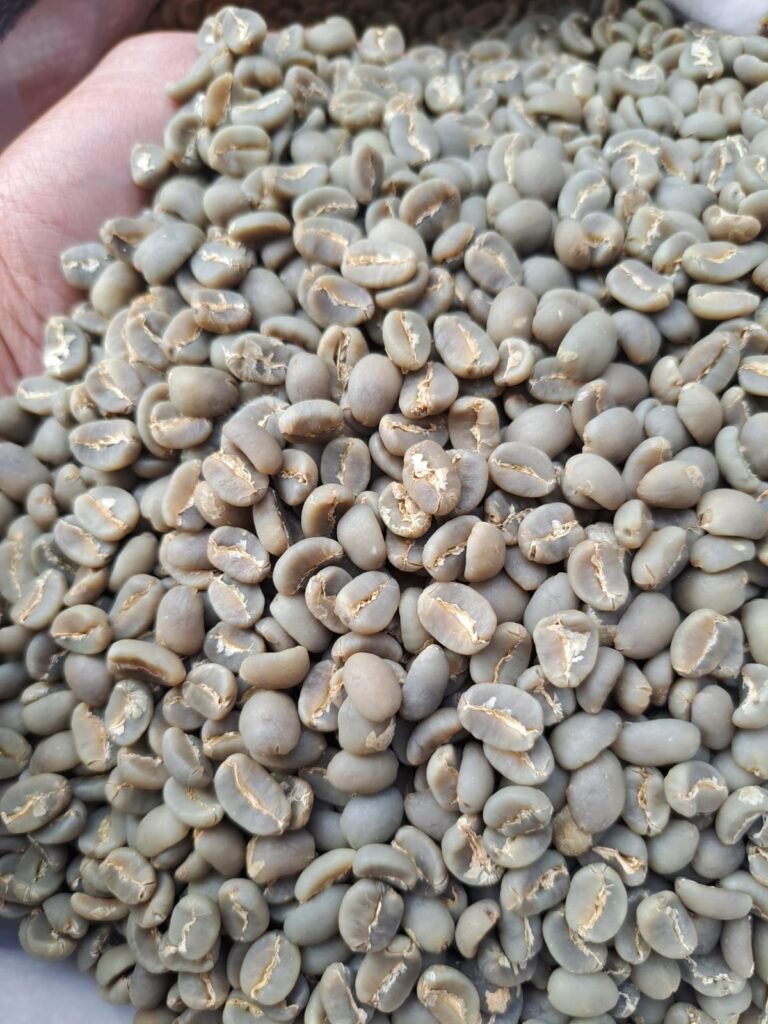 Drying Coffee Beans