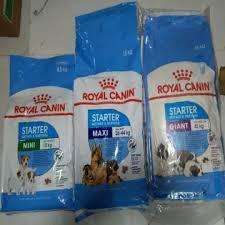 Royal Canin Fit 32 Dry Cats Foods For Sale/Royal Canin Maxi Starter Dog Food/Royal Canin Fit 32 Cat Dry Food (2kg)