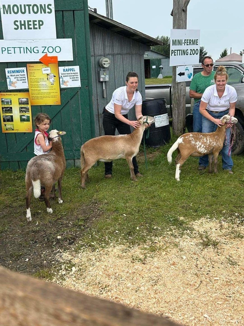 Cookshire Agricultural Fair Spotlight: B2B Essentials - 1