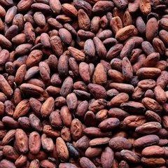 Ugandan Fermented & Dried Cocoa Beans