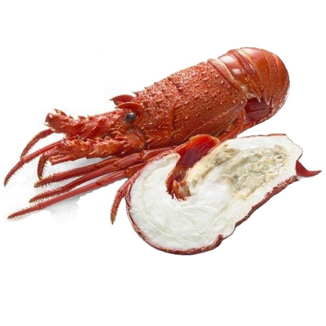 Wholesale Exporter We Sell Frozen Lobster / Live Lobster/Frozen Seafood