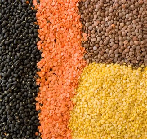 Ethiopian Lentils