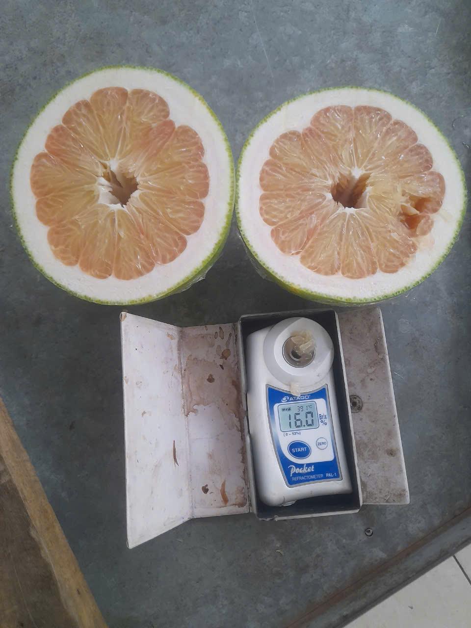 Pomelo Image 5