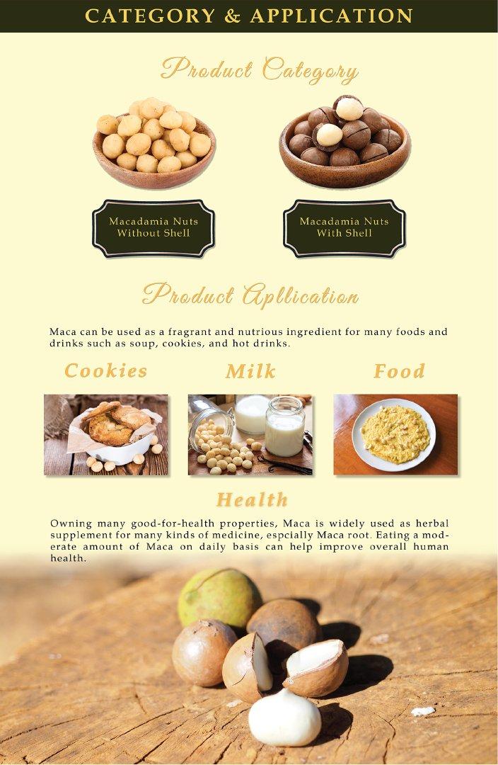 Wholesale Macadamia nut Organic Macca nuts Nut & Kernel Snacks Macadamia Raw