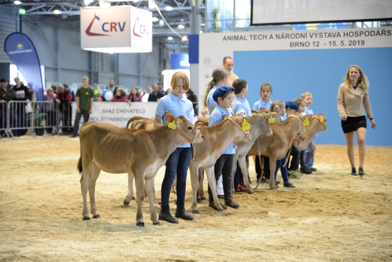 Inside ANIMAL TECH: B2B Key Insights - 3