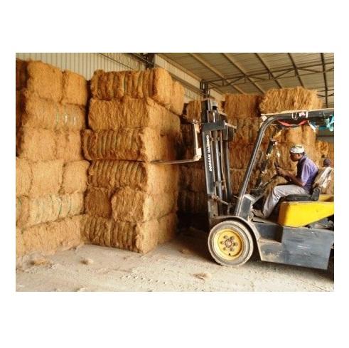 Wholesale Natural Palm Fiber / Sisal Fiber / Coconut Fiber for sale
