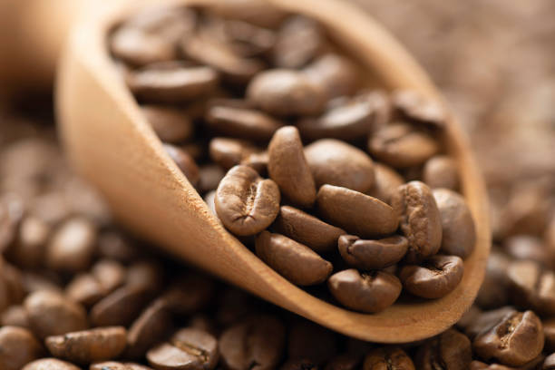 Top 5 Coffee Bean Suppliers in China in Week 02 of 2025