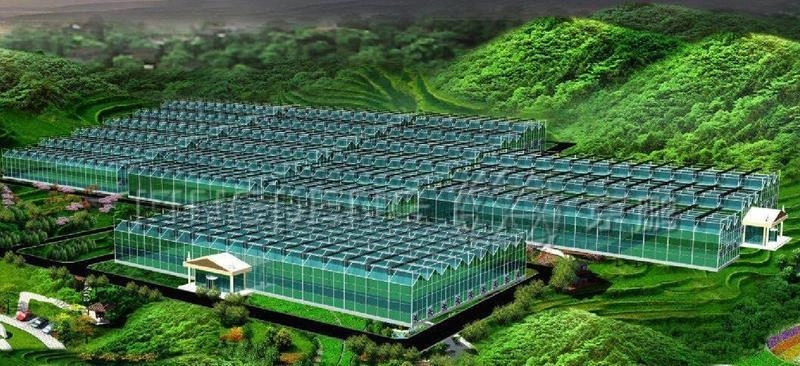 Why AGRO INNOVATION TOKYO incorporating VEGETABLES & FRUITS WORLD, WEED SOLUTION, FLORAL INNOVATION Matters for B2B - 1