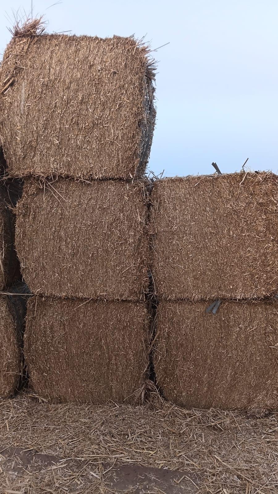 Wheat Straw