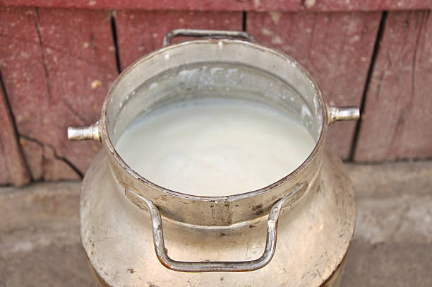 Milk Market in Poland: Top 5 Milk Suppliers in Poland in Quarter 3 of 2025