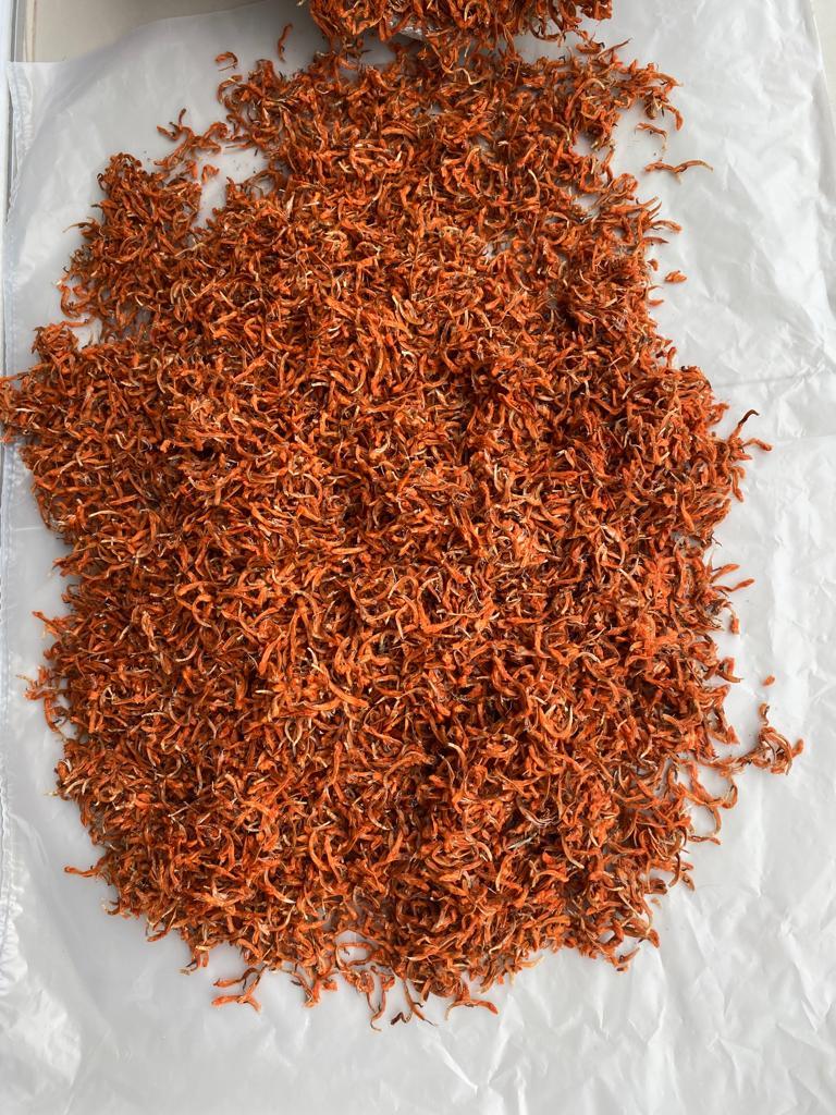(Leonotis leonurus) Dagga Wild Flower Petals for sales supply