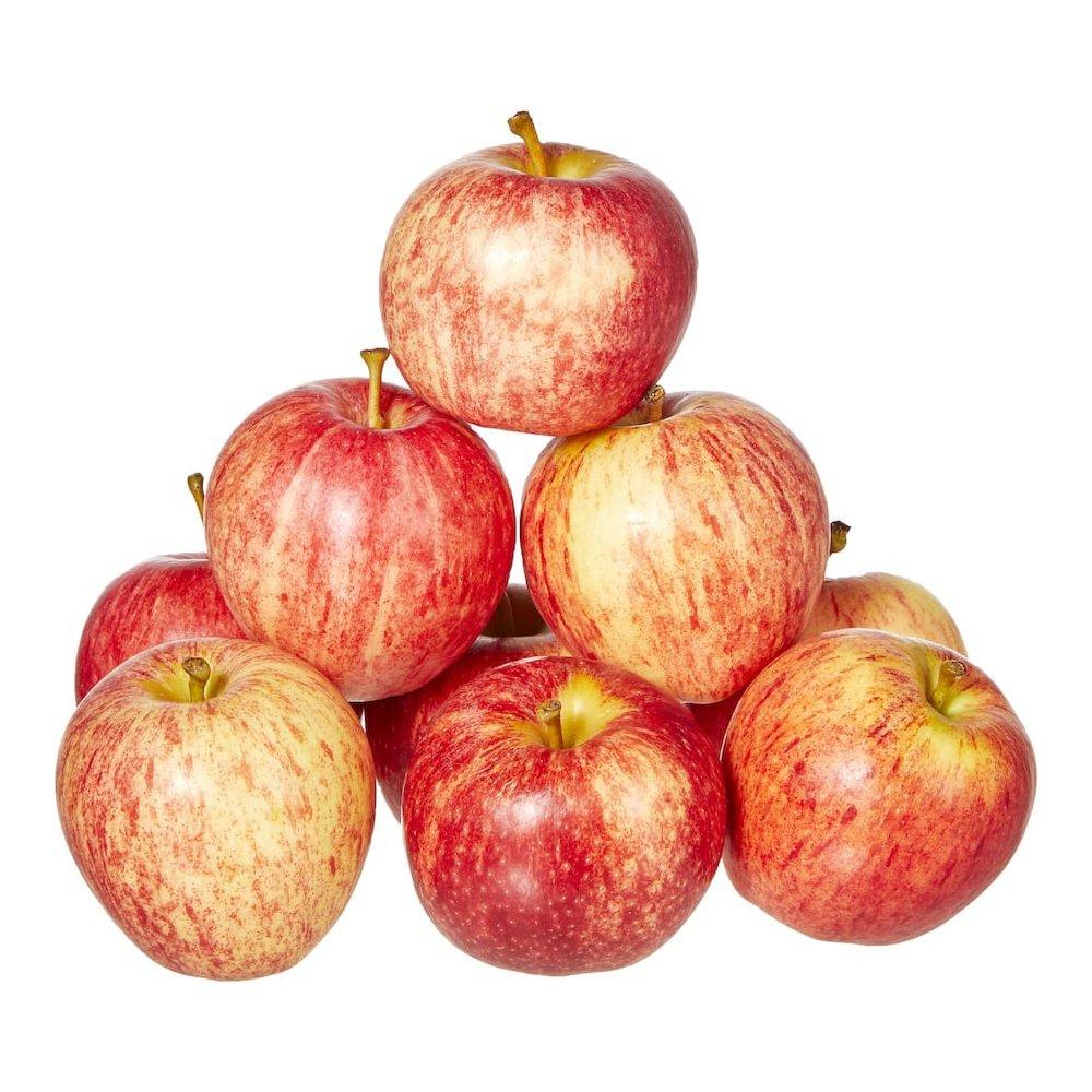 High Quality Gala apple Factory Supply fresh apple Export Price