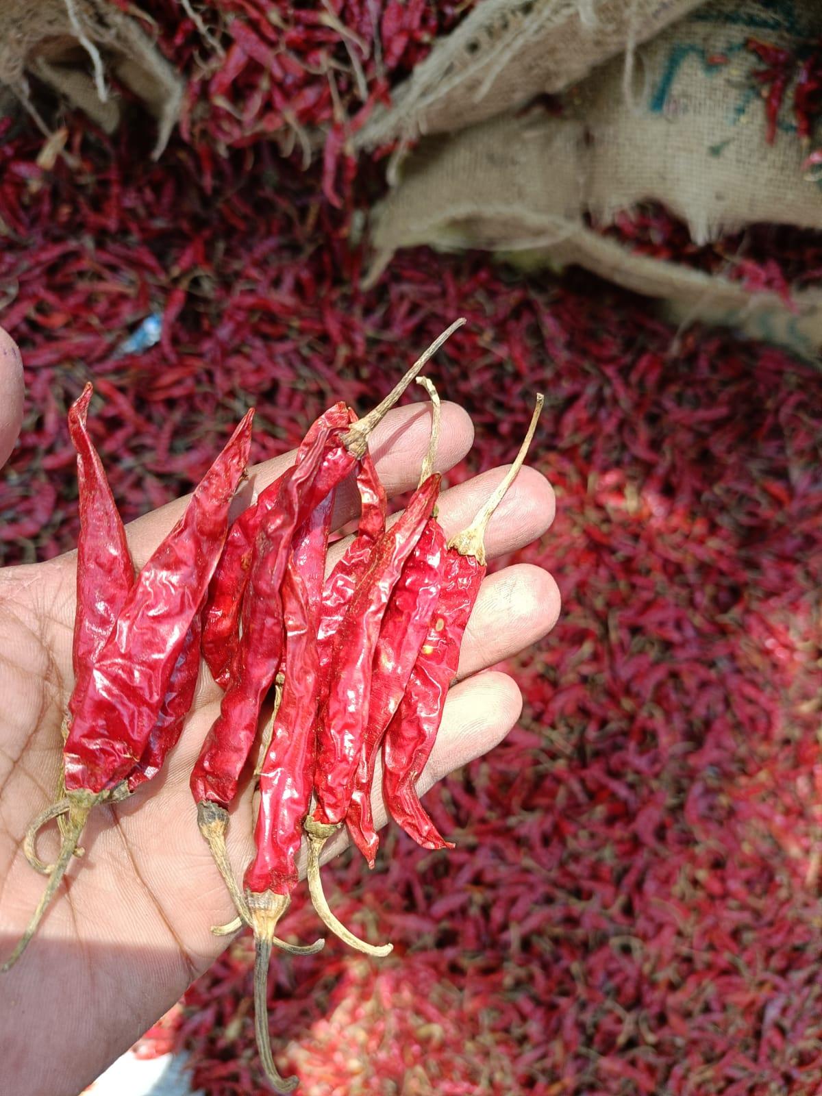 Premium Export Red Chillies