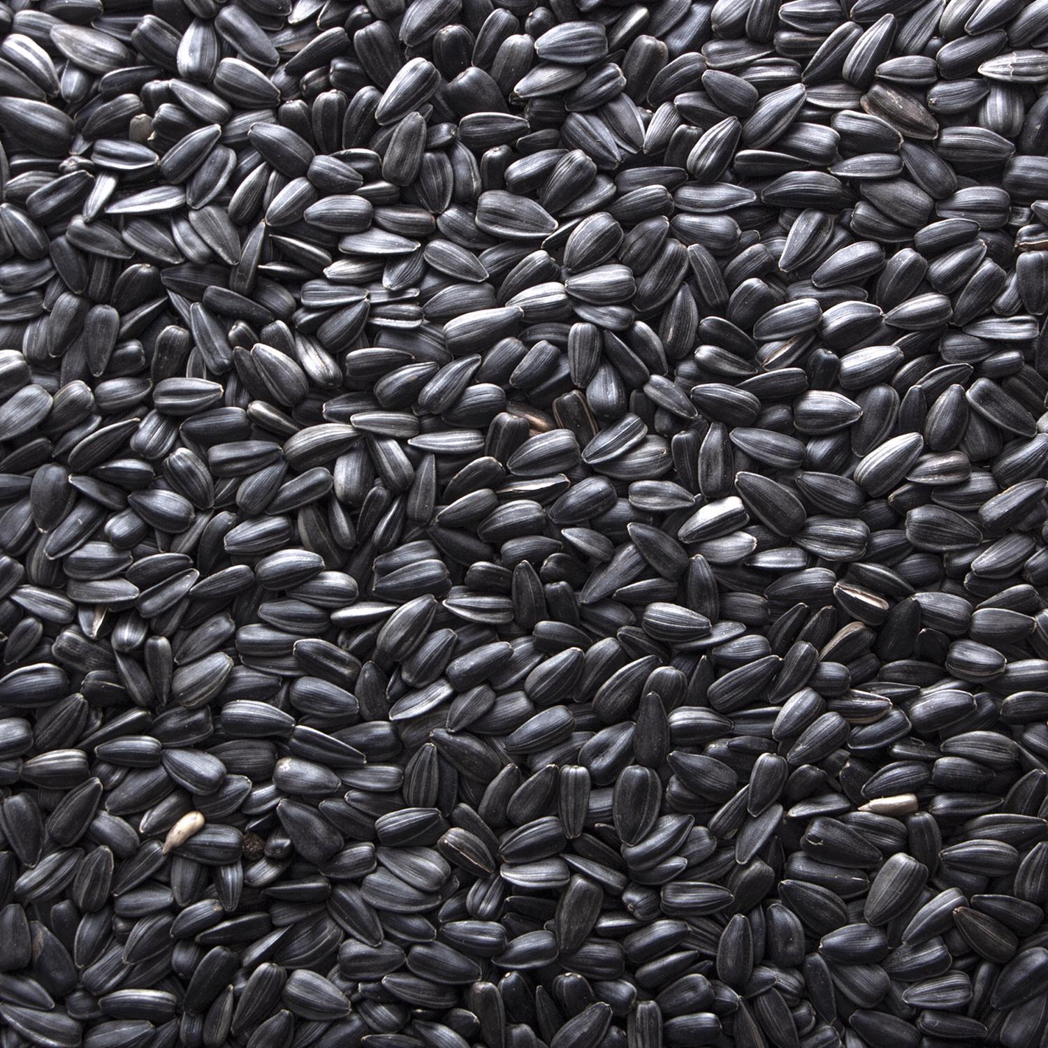 Sunflower Seed Oil