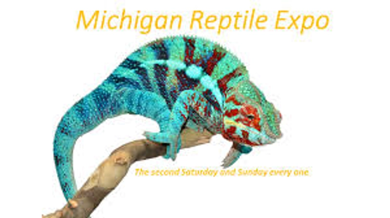 Why Michigan Reptile and Pet Expo Matters for B2B