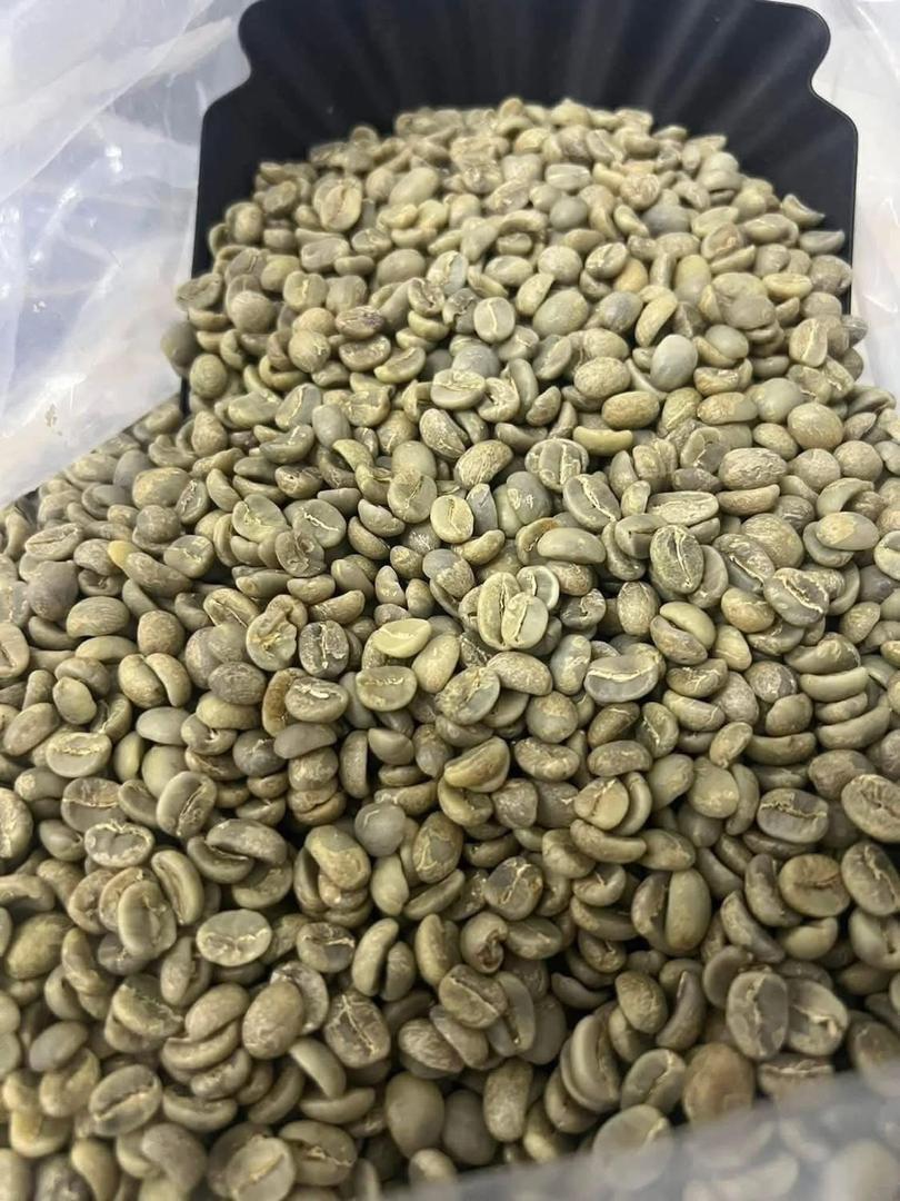 Robusta Coffee