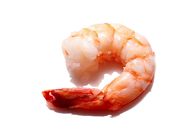 A Comprehensive Guide to Sourcing High-Quality Shrimp: Top 9 Shrimp Suppliers in Bangladesh in Year 2025