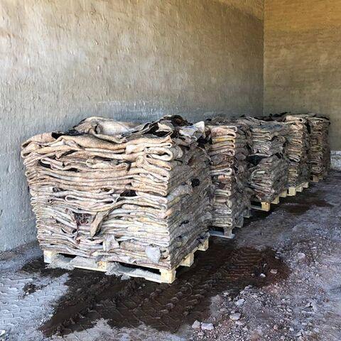 Wholesale Dealer Of Cheapest Price Dry And Wet Salted Cow Hides / Skins / Animal Cattle Hides
