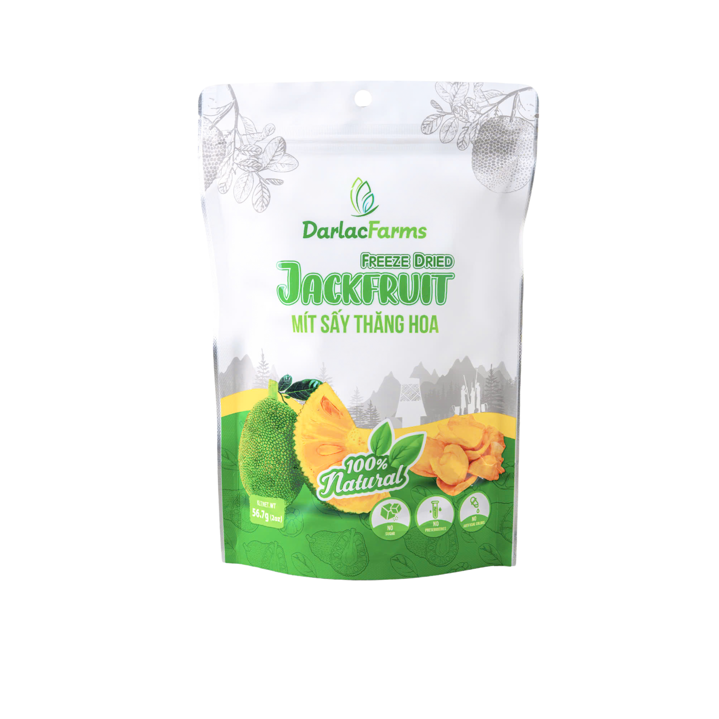 Freeze Dry Fruits Process