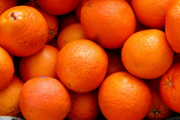 Top 10 Orange Suppliers in Turkey in Quarter 2 of 2025