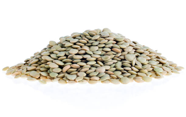 Top 5 Lentils Suppliers in United Arab Emirates in Year 2025