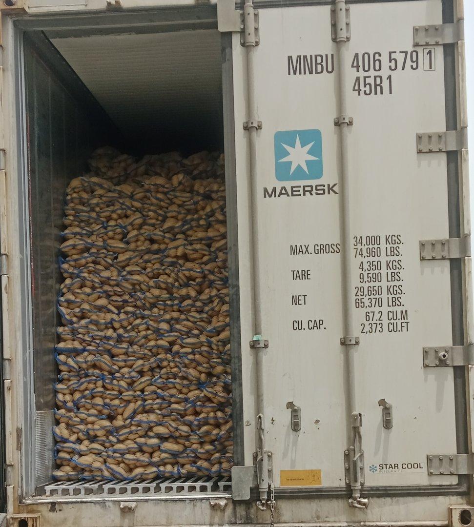 potatoes