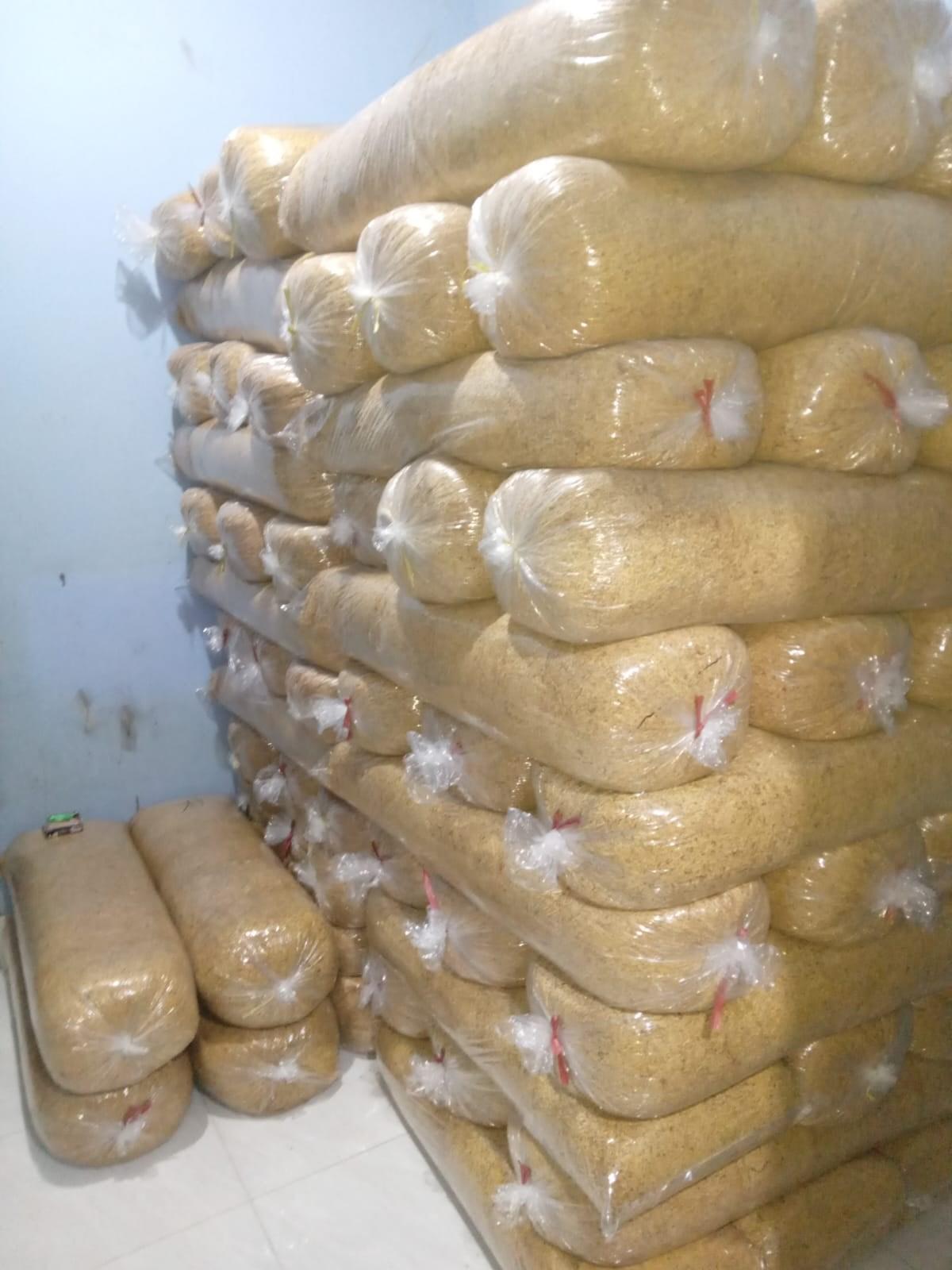 Lombok Tobacco Field