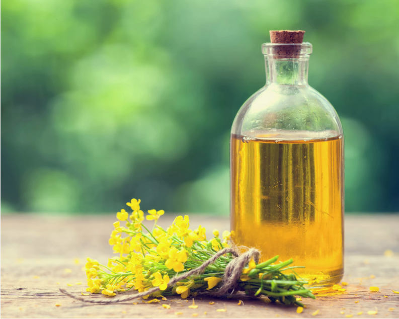 Rape Seed Oil refin