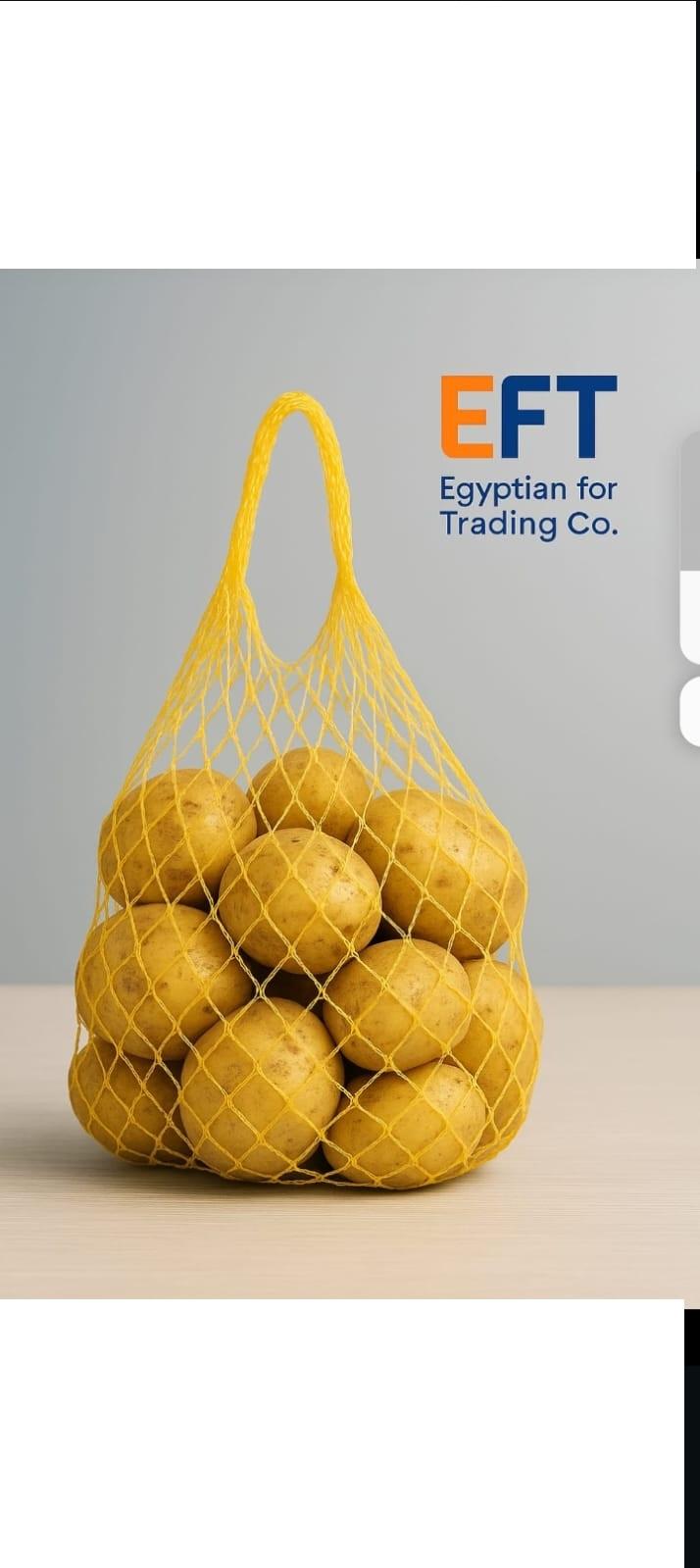 Meet the Top 7 Fresh Vegetables suppliers in Egypt - 5