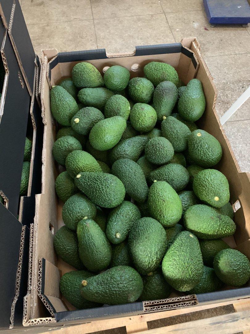 Avocados Packaging 4kg Weight (kg) 10kg/15kg Place of Origin Degree Of Maturity Unripe