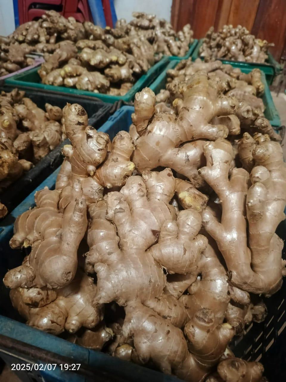 Fresh Ginger Image 2