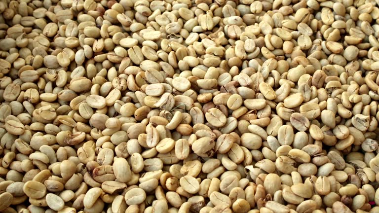 Top 9 Arabica Coffee Suppliers in Brazil in September 2025