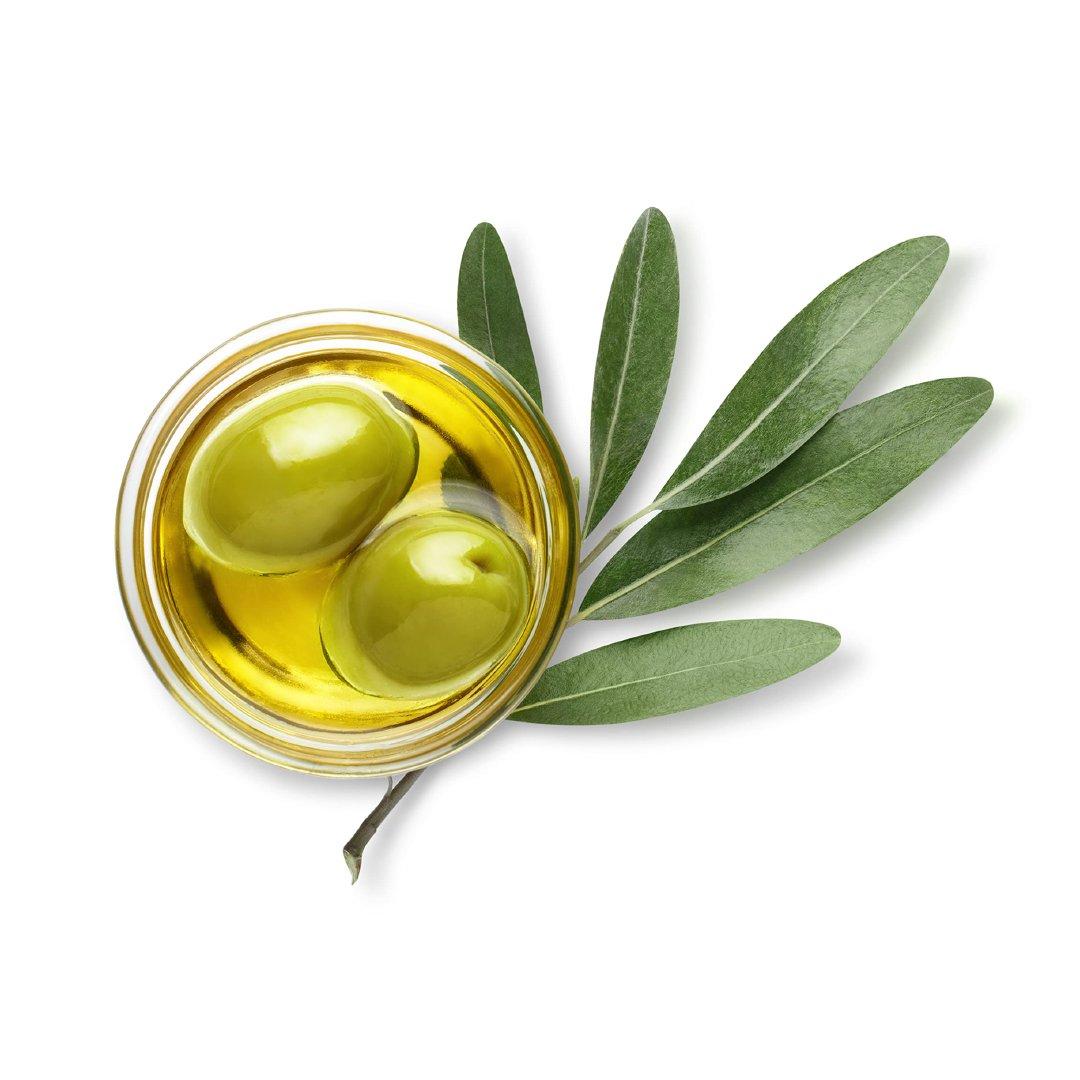 Wholesale Olive Oil discount price bulk supply fast delivery premium olive oil