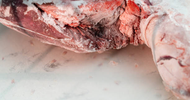 Your Expert Guide to Procuring Top-Tier Frozen Beef: Top 8 Frozen Beef Suppliers in Canada in August 2025