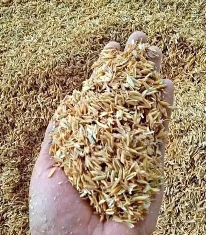Rice Husk Image 1