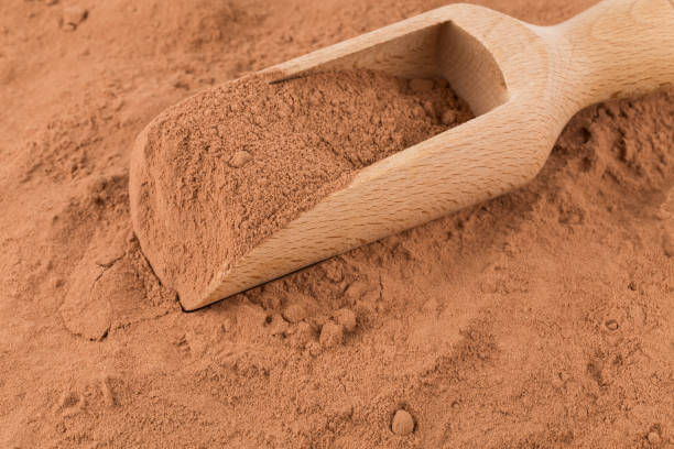 Top 4 Cocoa Powder Suppliers in United States in Quarter 3 of 2025