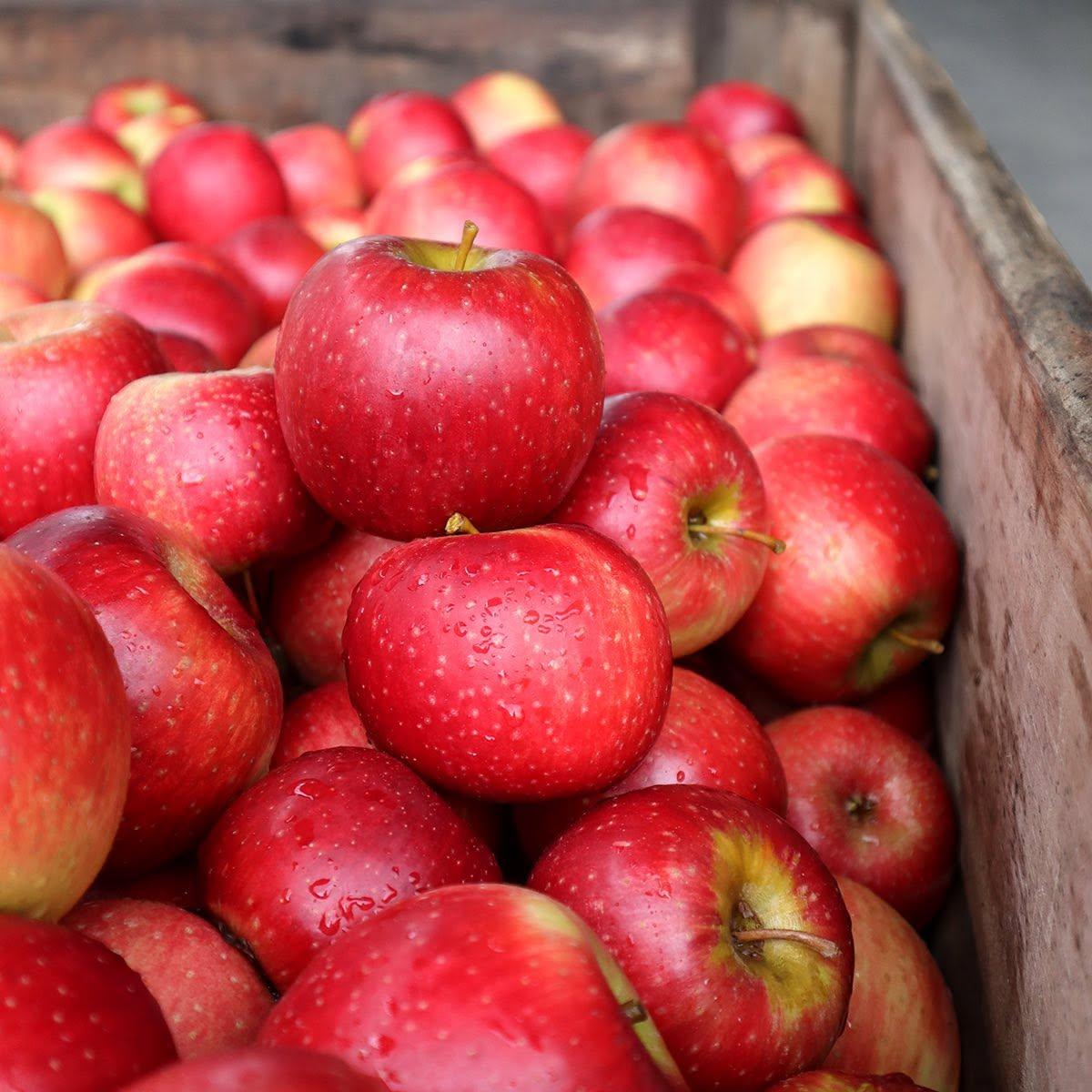 FRESH Cripps Red Apples for sale - CLASS 1 Export Quality Cripps Red Apples from South Africa – product photo, product description